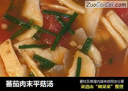 蕃茄肉末平菇汤