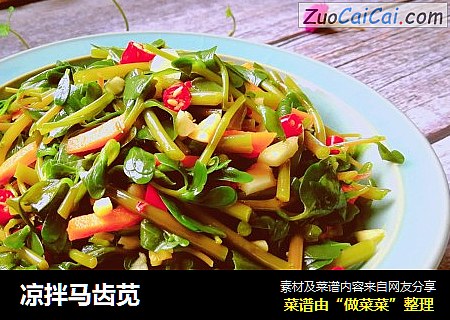凉拌马齿苋