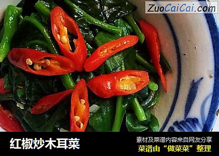 红椒炒木耳菜