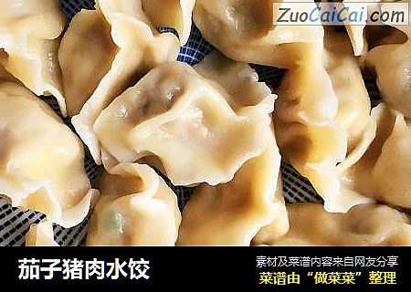 茄子猪肉水饺