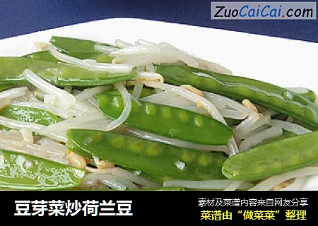 豆芽菜炒荷兰豆