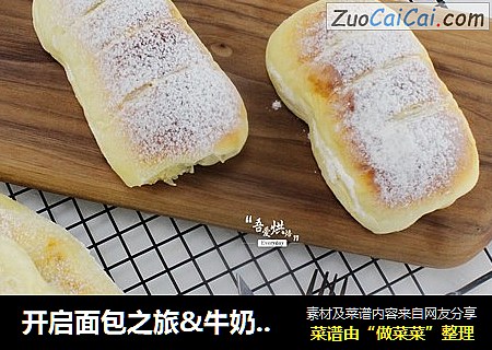 开启面包之旅&牛奶餐包