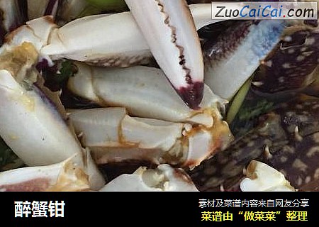 醉蟹钳