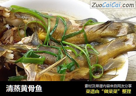 清蒸黄骨鱼