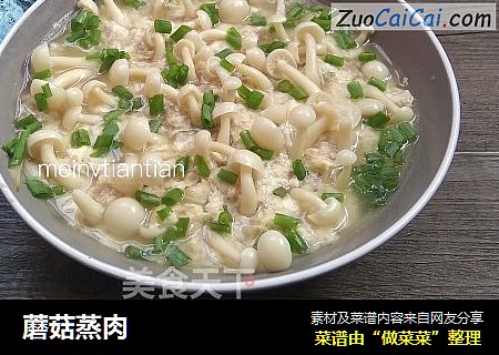 蘑菇蒸肉