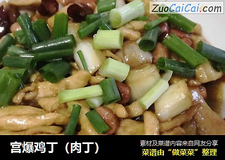 宫爆鸡丁（肉丁）