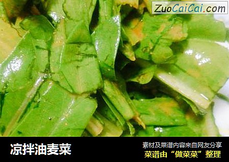 凉拌油麦菜