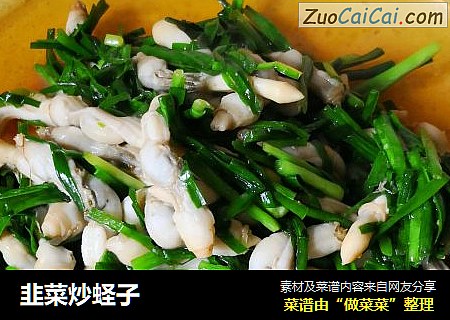韭菜炒蛏子