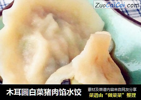 木耳圆白菜猪肉馅水饺