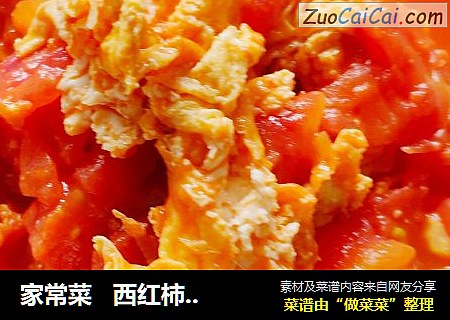 家常菜   西红柿炒蛋