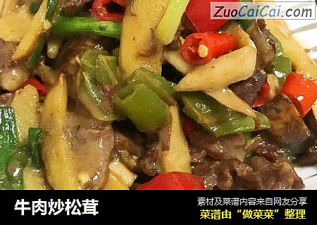 牛肉炒松茸