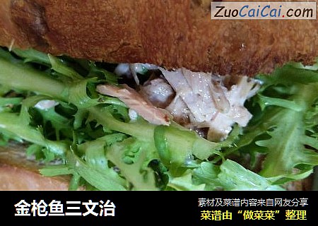 金枪鱼三文治