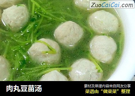 肉丸豆苗汤
