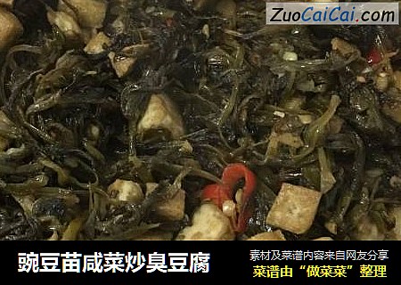 豌豆苗咸菜炒臭豆腐