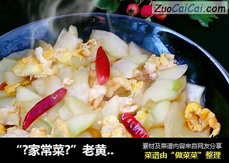 “?家常菜?”老黄瓜炒鸡蛋