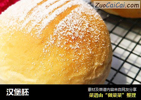 汉堡胚