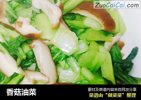 香菇油菜