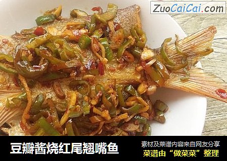 豆瓣酱烧红尾翘嘴鱼