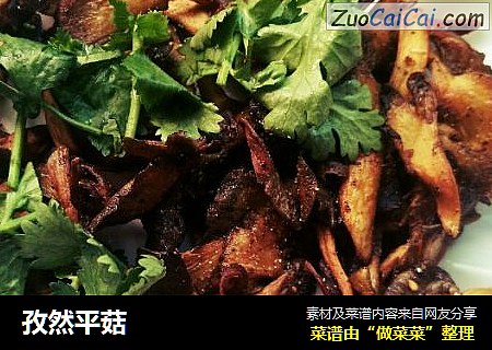 孜然平菇