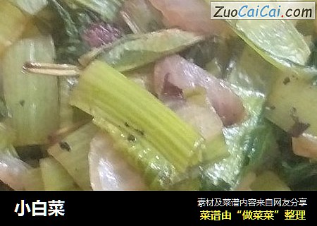 小白菜