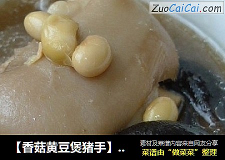 【香菇黄豆煲猪手】益气补脾健骨骼