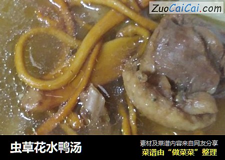 虫草花水鸭汤