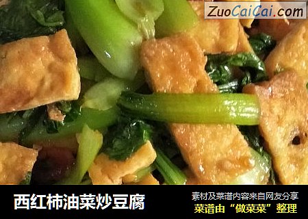 西红柿油菜炒豆腐