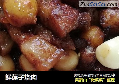 鲜莲子烧肉