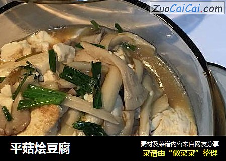 平菇烩豆腐