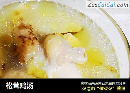 松茸鸡汤