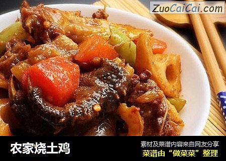 农家烧土鸡