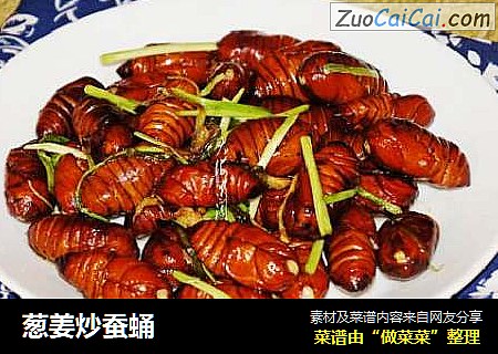 葱姜炒蚕蛹