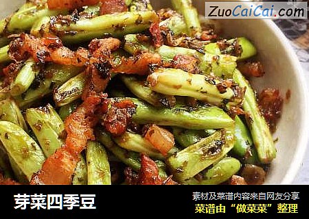 芽菜四季豆