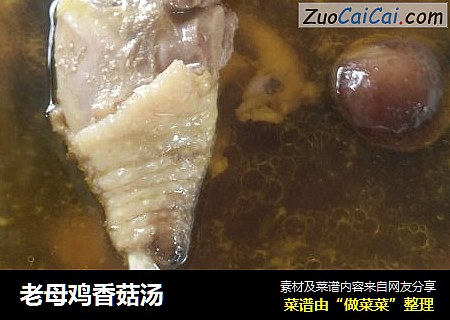 老母鸡香菇汤