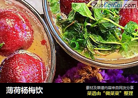 薄荷杨梅饮