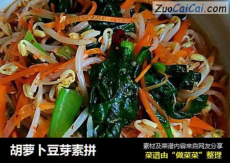 胡萝卜豆芽素拼
