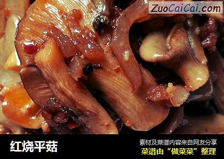 红烧平菇