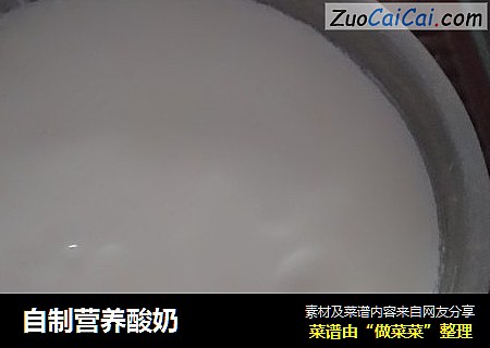 自制营养酸奶