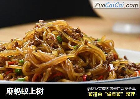 麻蚂蚁上树