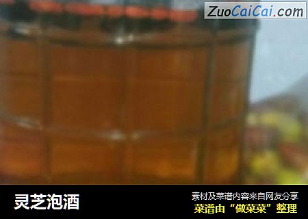 灵芝泡酒