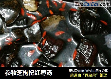 参牧芝枸杞红枣汤