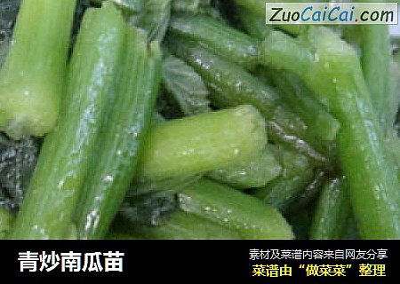 青炒南瓜苗