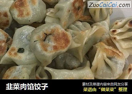 韭菜肉馅饺子