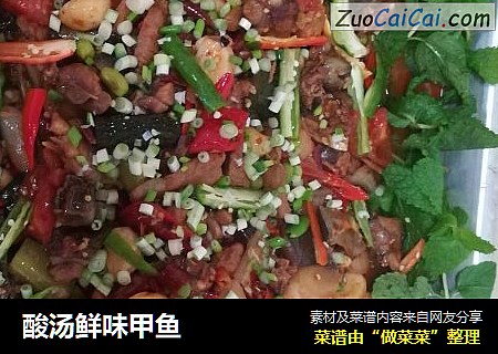 酸汤鲜味甲鱼