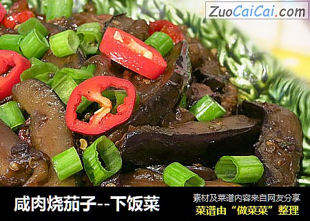 咸肉烧茄子--下饭菜