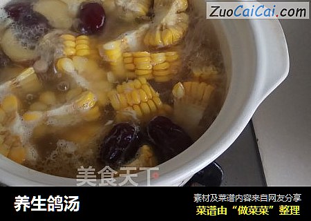 养生鸽汤
