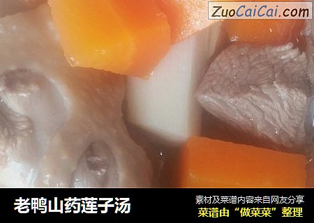 老鸭山药莲子汤
