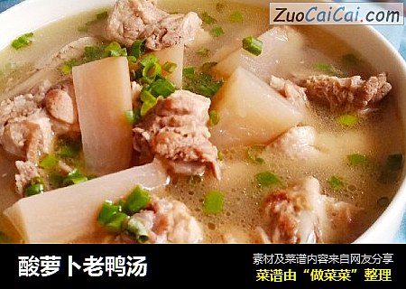 酸萝卜老鸭汤