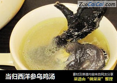 当归西洋参乌鸡汤