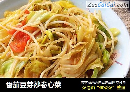 番茄豆芽炒卷心菜